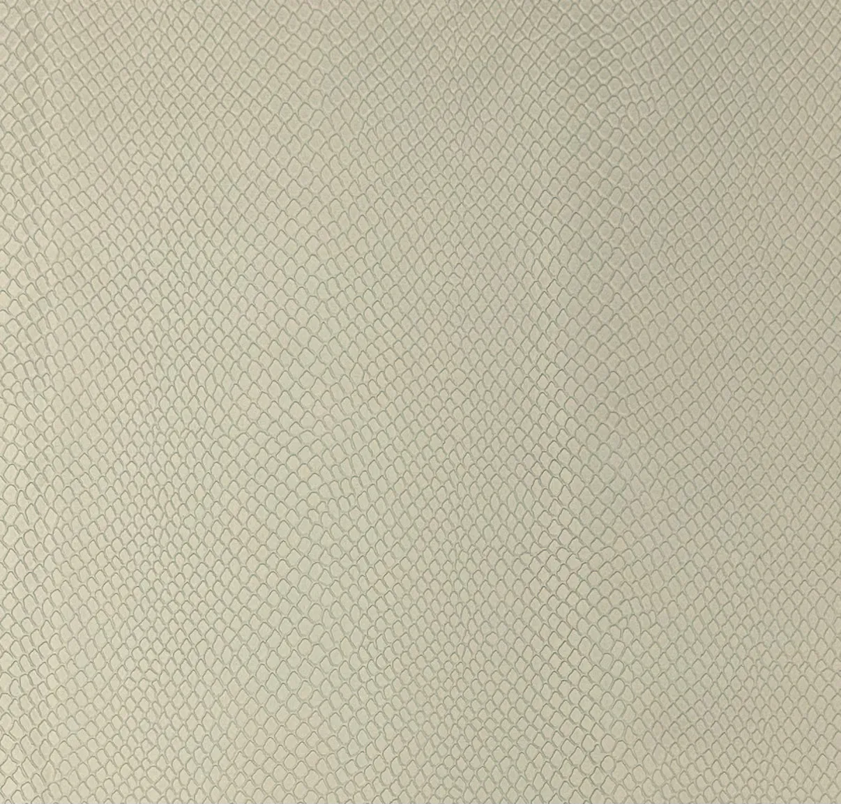 Aretids - Oyster