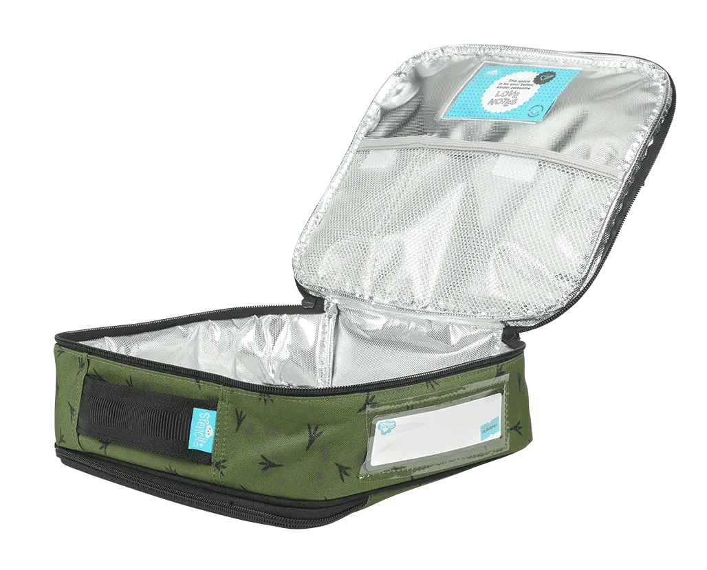 Big Cooler Lunch Bag - Dinosaur Discovery