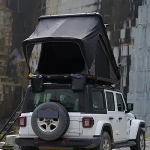 Bush Cruiser 120 W/ Ladder