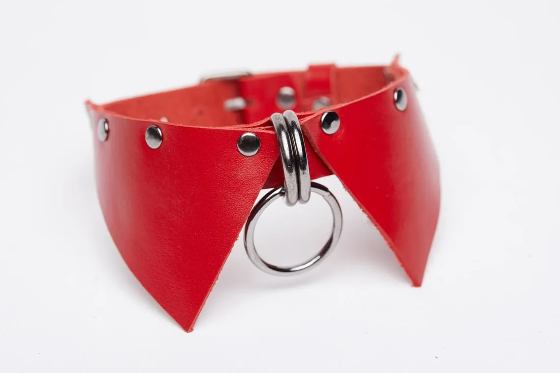 Choker "Toona" & Leash