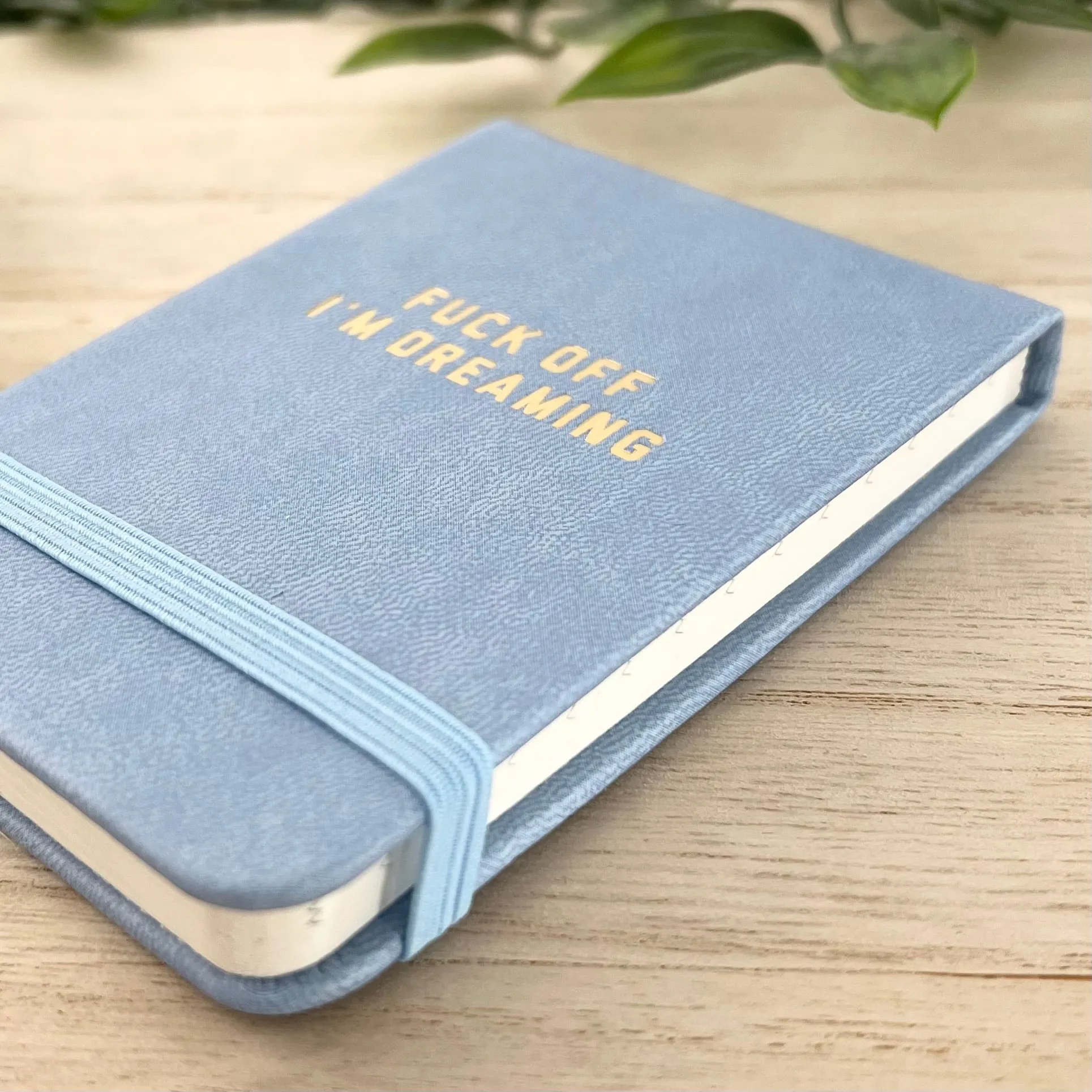 F*ck Off I’m Dreaming Notepad
