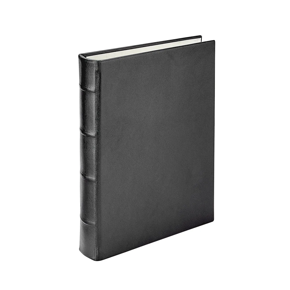 Medium 4-Ring Clear Pocket Album