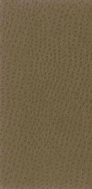 Nuostrich-106