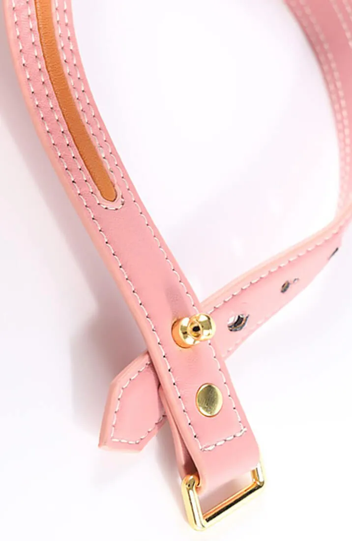 Pink faux leather bow tie collar & leash