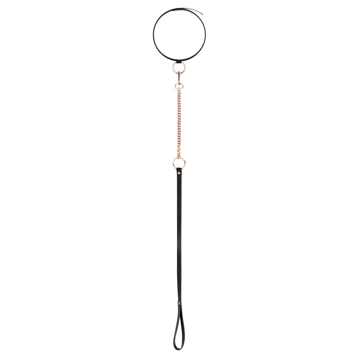 Rose Choker and Leash