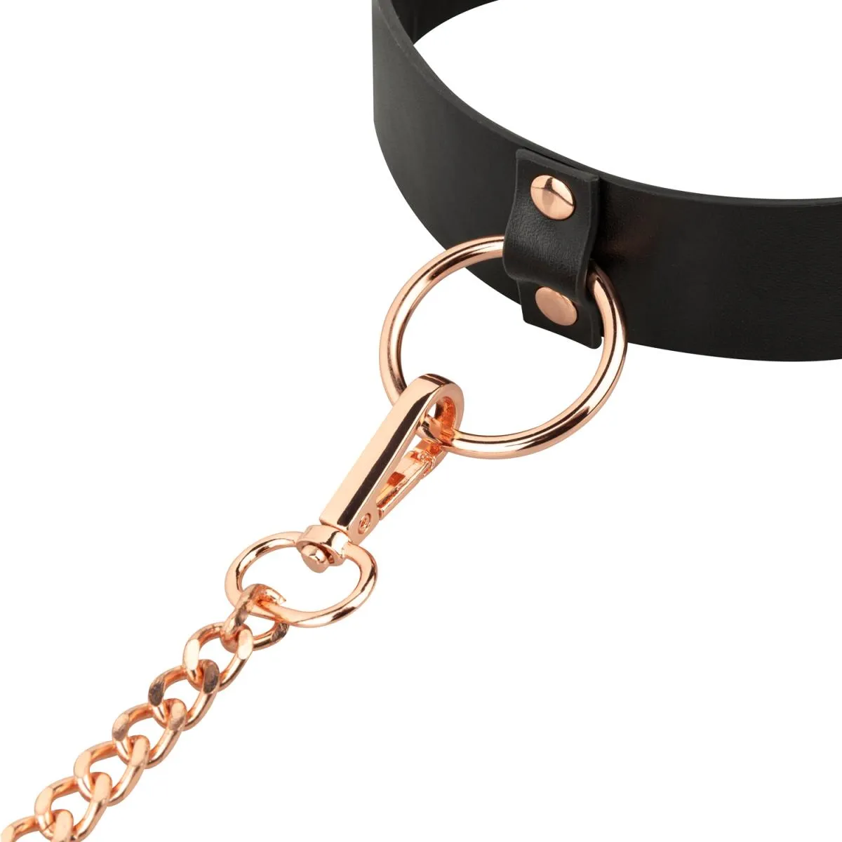Rose Choker and Leash