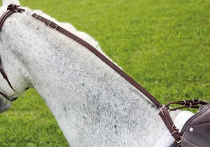 Shires Nylon Anti Grazing Rein