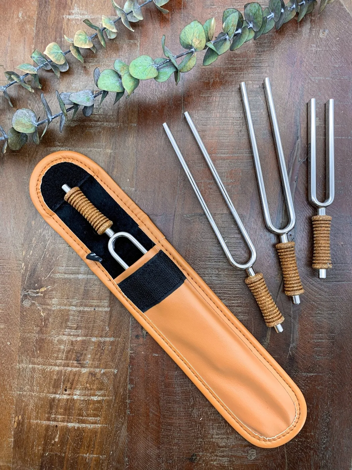 Single Tuning Fork Case Large up to 9.8"