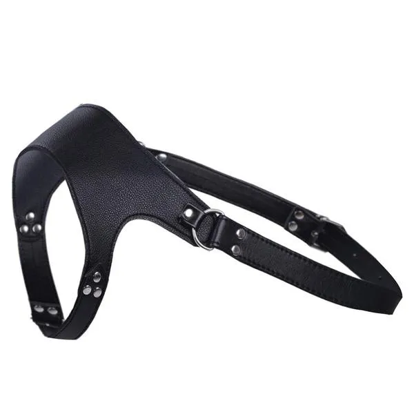The Mercury Harness